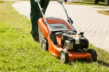 worker is cutting the grass with lawn mower