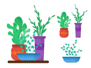flowers in a vase set. Cartoon vector illustration.