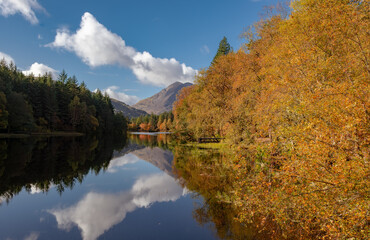 Naklejka premium fall in the mountains
