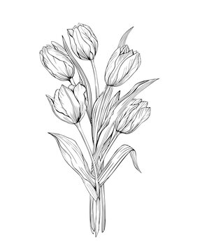 Bouquet of tulips art line black and white pattern isolated. Drawing of flowers for tattoos