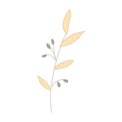 leaves isolated on white