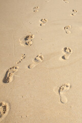 Fototapeta na wymiar Footprint in sand near the water on the beach ocean