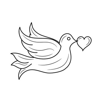 Dove Bird holding heart vector illustration, isolated linear style pictogram 
