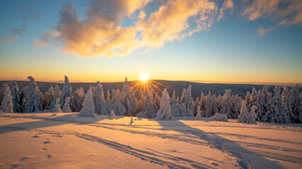 Sonnenuntergang im Winterwald