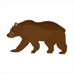 Brown bear vector