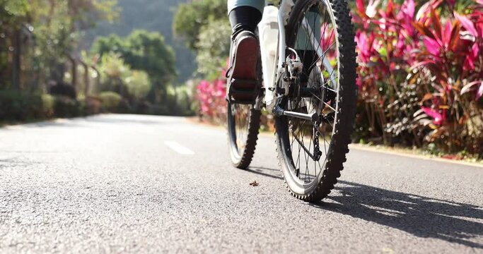 Woman riding a bike on tropical park trail in spring