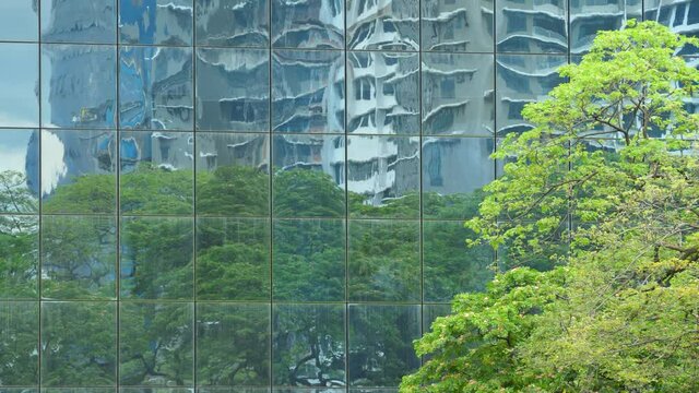 Clean glass wall with green tree background. High rise building with abstract geometry glass facades on bright sunny day. Concepts of finances and economics
