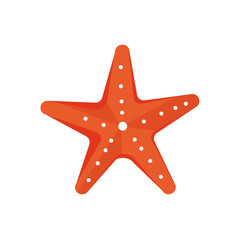 Starfish vector cartoon