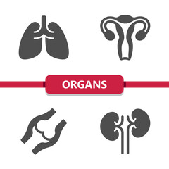 Internal Organs Icons