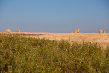 Bale of straw