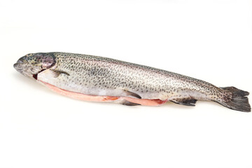 Raw trout fish isolated on white