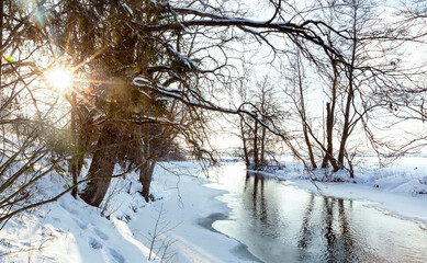 Winter landscape of forest river on a sunny day
