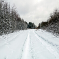 Fototapeta premium winter forest road