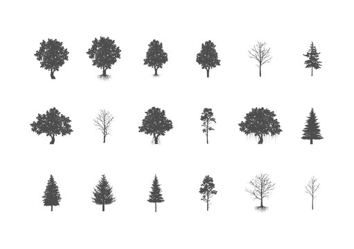 Silhouette Black Different Tree Types vector