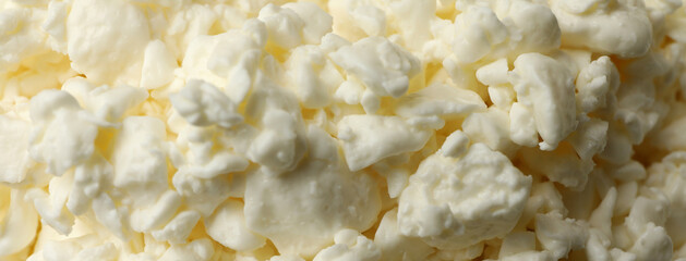 Fresh cottage cheese on whole background, close up