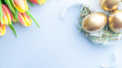 Easter egg. Happy Easter decoration: Golden eggs in basket with spring tulips, white feathers on pastel blue background. Traditional decoration in sun light. Top view.