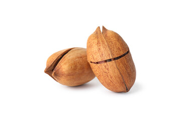 Tasty pecan nuts isolated on white background