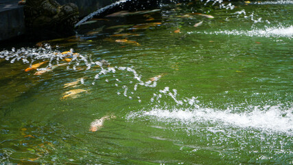 water fountain in the park