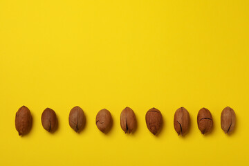 Tasty pecan nuts on yellow background, space for text and top view