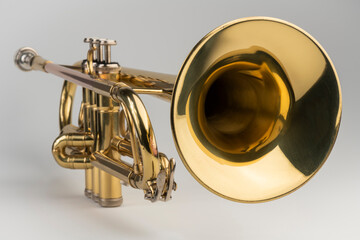 Obraz na płótnie Canvas Gold colored trumpet as an isolated object against a white background.