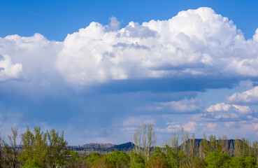 Obraz premium Spring landscape - bright green trees with young foliage on a bright warm sunny day in early spring.