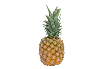 Pineapple on white background - Ananas isolated