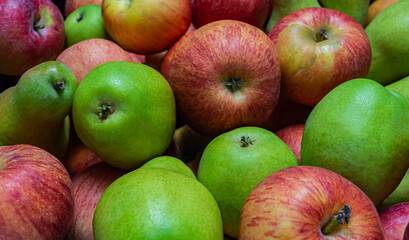 autumn green and red apples close up