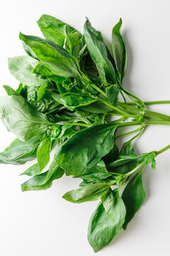 Fresh organic basil leaves, close-up, isolated on white background. Sweet basil