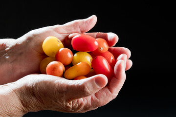 Fresh tomato in a hand, with black background, studio. Spain