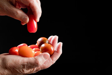 Fresh tomato in a hand, with black background, studio. Spain