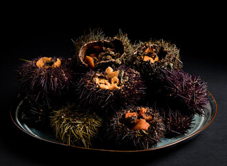 Sea urchins with black cutlery and black background, Spain