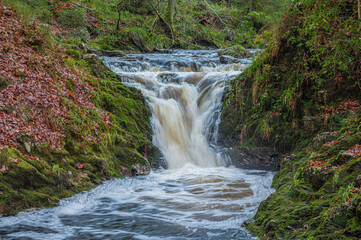 Waterfall of the Hoëgne in the Belgian Ardennes
