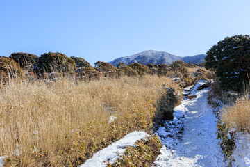 冬のくじゅう連山　登山道（牧ノ戸峠～久住分かれ）　大分県玖珠郡　Kujuurenzan Trail in winter Ooita-ken Kusu-gun