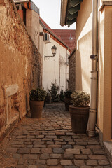 Fototapeta na wymiar Narrow cobbled street in an old German town