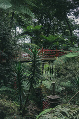red bridge in the botanical garden