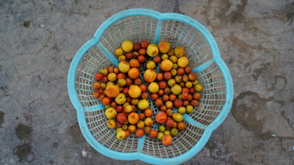 Red yellow Ber or Ziziphus mauritiana fruits isolated on plastic basket. Ripen fruits on the cement...