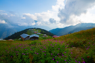 Kackar mountains and Kaçkar plateaus.