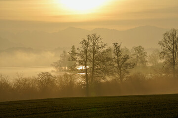 Fototapeta na wymiar Sunrise over the lake of Greifensee, Maur, Switzerland.