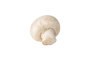 Champignon on an isolated white background. White champignon