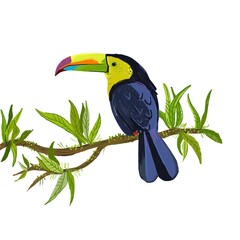 Illustration with a tukan on a white background. Exotic © Yana Protsenko