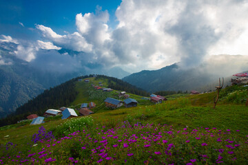 Kackar mountains and Kaçkar plateaus.