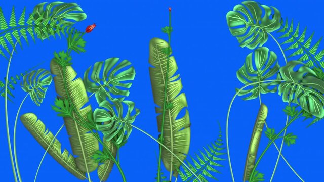 Tropical plants, loop-able from 20:00 to end. Blue screen chroma key. Monstera, Banana Palm. Leaves, ferns, flowers animation on blue background.