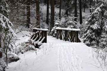 Winterwald