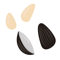 vector element in flat style, rodent food - sunflower seeds