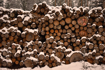 Holzstapel