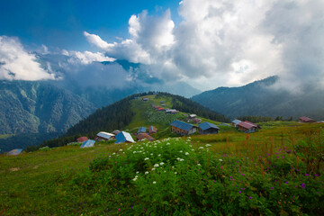 Kackar mountains and Kaçkar plateaus.
