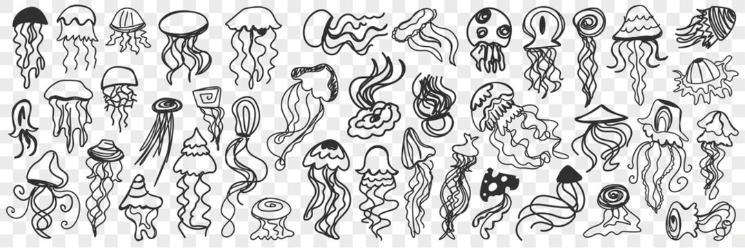 Various swimming jellyfish doodle set. Collection of hand drawn cute jellyfish of traditional shapes swimming under water isolated on transparent background. Illustration of undersea world for kids