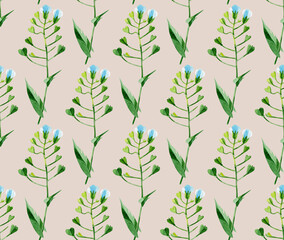 Seamless pattern of meadow flowers Capsella. Summer watercolor flowers on a pink suede background. Wild healing herbs, botanical floral texture. For textiles, packaging, wallpaper, websites, prints.