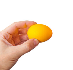 Man hand holding an egg, isolated on white.