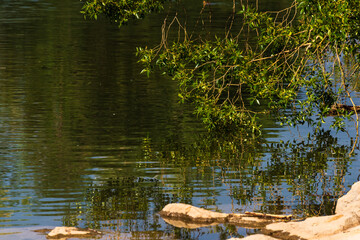 view of Prince's Island Park, Calgary, alberta, canada